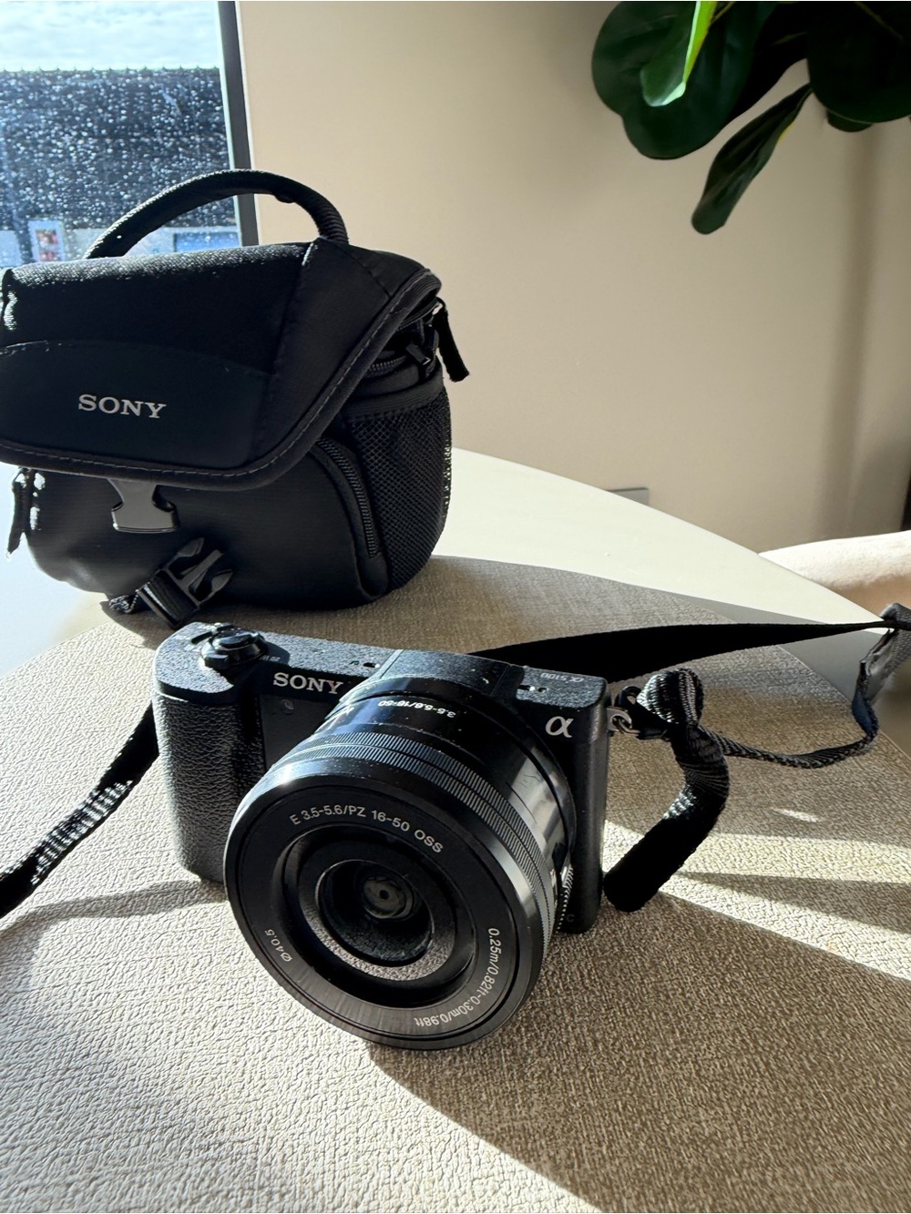 Sony Alpha Black Mirrorless Camera with 16-50mm Lens